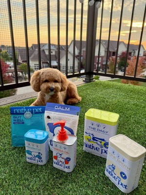 Guest review image 3 of 3, zoom in