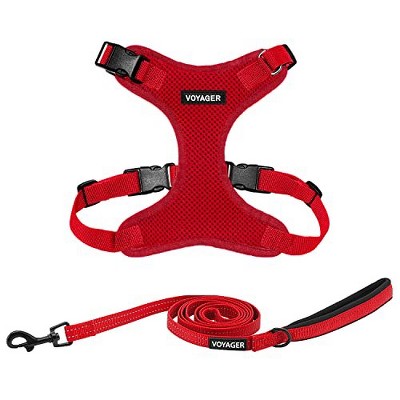 Voyager Step-In Lock Adjustable Dog & Cat Harness and 5ft Leash Combo