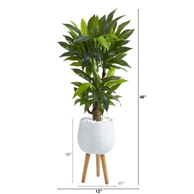 46" Green Corn Stalk Dracaena Artificial Plant in White Planter with Wooden Stand