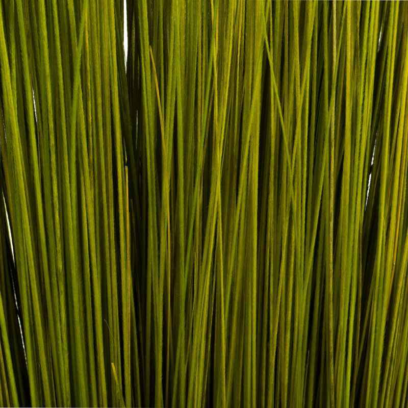 Vickerman Bright Grass, Dried, 5 of 6
