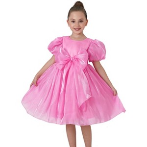 2Bunnies Girls' Organza Babydoll Princess Bow Dress - 1 of 4