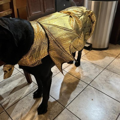 Golden snitch shop dog costume