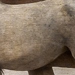 luster gray