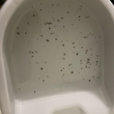 Guest review image 3 of 3, zoom in