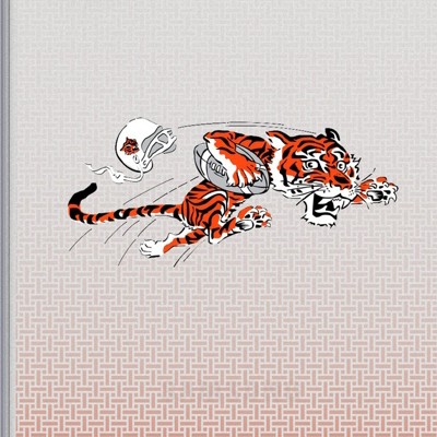 cincinnati bengals