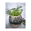 tagltd Valley Carved Handpainted Terracotta Planter 6.3L x 6.3W x 4.5H inches fits a 3.5" drop in plant - 2 of 2
