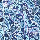 navy blue paisley