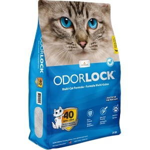 Odor Lock Unscented Clumping Cat Litter - 25 lb - 1 of 1