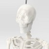 36" Poseable Skeleton Halloween Decorative Prop Iridescent - Hyde and EEK! Boutique™ - 3 of 3