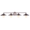 Craftmade Lighting Isaac 4 - Light Vanity in  Brushed Polished Nickel - 2 of 3