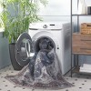 Tucson TSN102 Machine Washable Skid Resistant Stain Resistant Non-Shedding Power Loomed Indoor Rugs - Safavieh - 4 of 4