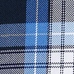 clear blue plaid
