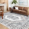Washable Area Rug Non Slip Rug Vintage Printed Accent Rugs Low Pile Foldable Traditional Rug Oriental Medallion Carpet for Bedroom Living Room - 3 of 4