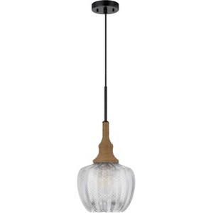 Cal Monroe 60W Glass Pendant Light with Burlap Roped Font - 1 of 4