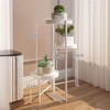 Indoor Metal Tiered Plant Stands, Folding Flower Display Holders Rack Shelf for Corner, Porch, Garden, Balcony, Living Room - 4 of 4