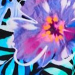blue black hibiscus