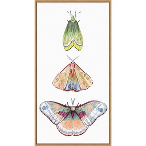 Amanti Art Moth Fairies II by Grace Popp Canvas Wall Art Print Framed 14 x 27-in. - 1 of 4