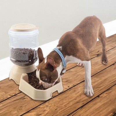 Beige and Clear Automatic Pet Feeder and Water Dispenser Set