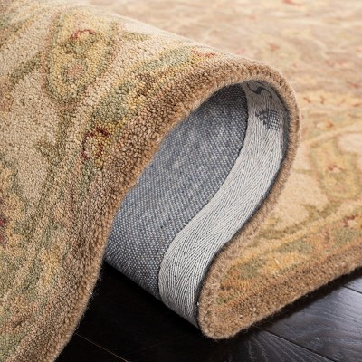 Antiquity Brown and Gold Tufted Wool Area Rug