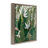 Stupell Industries Tropical Birds Of Paradise Plant, 25" x 25" - 3 of 4