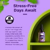 Organic Ashwagandha Liquid Drops for Adults, Potent Liquid Ashwagandha Root Extract for Energy and Mood Support, Phytoral, 120 servings - 4 of 4