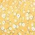 yellow white