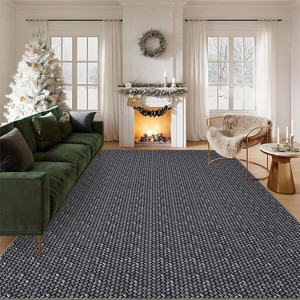 Acekool 5x7 Washable Braided Print Area Rug, Non-Slip Modern Soft Carpet, Stain Resistant Low Pile Throw Rug for Living Room, Bedroom - 1 of 4