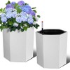 16" Tall Planter Set of 2, Heavy Duty Tall Planter, Planter Pots with Drainage Holes＆Water Level Monitor＆Inner Bucket, Automatic Watering - 2 of 4