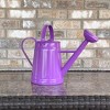 Tierra Garden 1.2 Gallon Traditional Metal Watering Can - 3 of 4