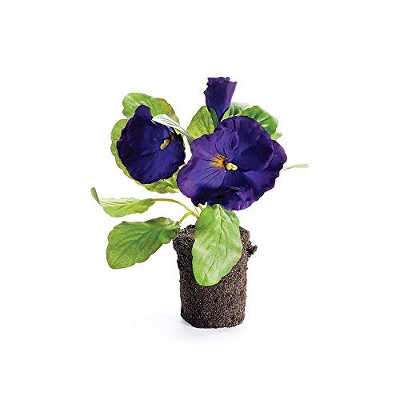 Plum & Post Pansy Drop-In 6.5"