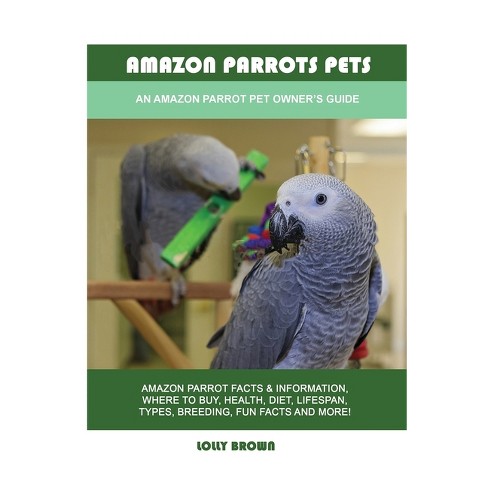 Parrot, Description, Types, & Facts