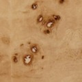 cream/burl