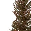 Northlight 3' Prelit Artificial Christmas Tree Warsaw Twig in Burlap Base - Clear Lights - 3 of 4