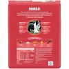IAMS Proactive Health Minichunks Lamb and Rice Flavor Dry Dog Food - 2 of 4