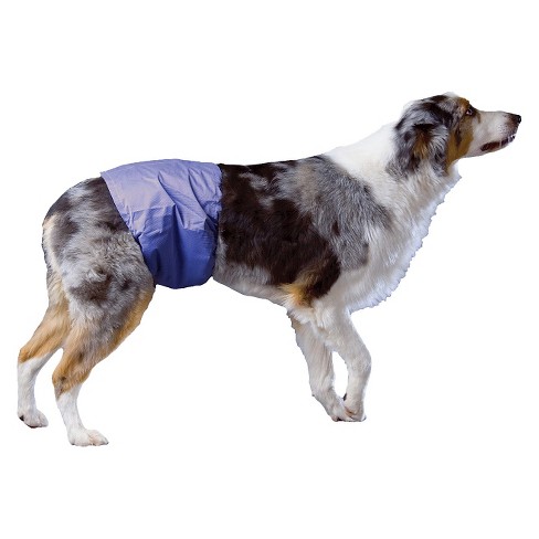 Poochpad Reusable Male Wrap Diapers For Pets Target