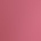 Pink Rose