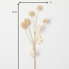 Sullivans Artificial Dried Thistle Stem 27.5"H - image 3 of 3