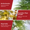 QingMoon 6FT Artificial Christmas Tree with Lighted Star Garland and 612 Branch Tips for Holiday Decoration - 3 of 4