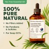 KUKKA Tea Tree Essential Oil - 100% Pure & Natural Tea Tree Oil for Skin, Hair, Toenails, Aromatherapy, & Soap Making Scent (4 fl oz/118 ml) - 2 of 4