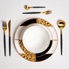 Ozarke Tigress Golden Black Plates Set - Multicolor - 4 of 4