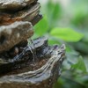 Gulches 9*5*14" Indoor Brown Wood-Look Water Fountain£¬4-Tier Polyresin Cascading Wood Tabletop Fountain - 2 of 4