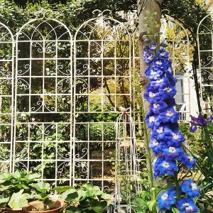 2 Pack Metal Garden Trellis 86.7" x 19.7" Rustproof Trellis for Climbing Plants Outdoor Flower Support Cream White - 1 of 4