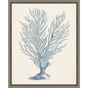 Amanti Art Antique Coral Collection II by Vision Studio Canvas Wall Art Print Framed 16 x 20-in. - 1 of 4