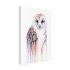 Trademark Fine Art -Michelle Faber 'Barred Rainbow Owl' Canvas Art - 4 of 4