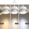 HANPURE Light Pro 52 in. LED Indoor White Smart Ceiling Fan with Remote Control - 2 of 4