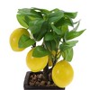 Unique Bargains Artificial Plants Plastic Orange 3.15"x3.15"x9.06" 1 Pcs - 4 of 4