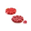 Silikomart "PARADIS 37" Flexible Silicone Baking & Freezing Mold, 1.3 oz, 6 Cavities - 2 of 3