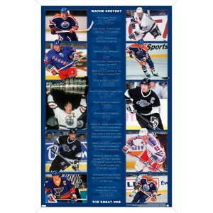 Trends International Wayne Gretzky - Stats Framed Wall Poster Prints - 1 of 4