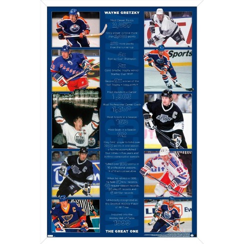 Trends International Wayne Gretzky - Jersey Framed Wall Poster Prints White  Framed Version 22.375 X 34 : Target