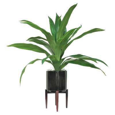 40" Artificial Ceramic Stand Dracaena in Black - LCG Florals